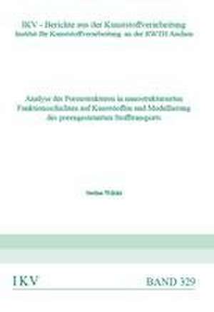 Analyse der Porenstrukturen in nanostrukturierten Funktionsschichten auf Kunststoffen und Modellierung des porengesteuerten Stofftransports de Stefan Wilski