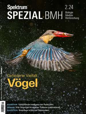 Spektrum Spezial BMH 2/2024 - Vögel de Spektrum der Wissenschaft