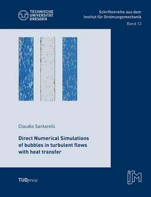 Direct Numerical Simulations of bubbles in turbulent flows with heat transfer de Claudio Santarelli