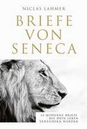 Briefe von Seneca de Niclas Lahmer