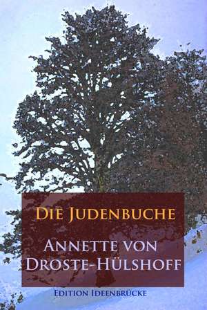 Die Judenbuche de Annette von Droste-Hülshoff
