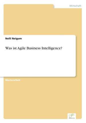 Was ist Agile Business Intelligence? de Nelli Neigum