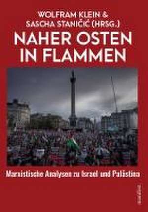 Naher Osten in Flammen de Sascha Stanicic