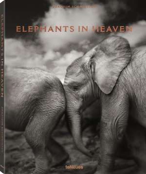 Schmeisser, J: Elephants in Heaven de Joachim Schmeisser