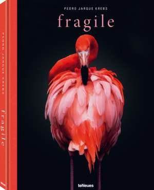 Fragile de Pedro Jarque Krebs