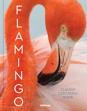 Flamingo de Claudio Contreras Koob