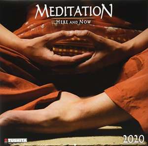 Meditation here and now 2020. Mindful Edition