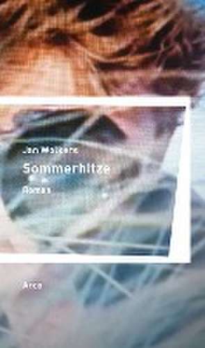 Sommerhitze de Jan Wolkers