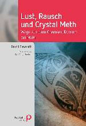 Lust, Rausch und Crystal Meth de David Fawcett