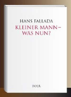 Kleiner Mann - was nun? de Hans Fallada