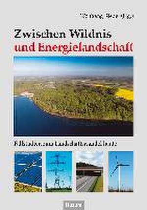 Zwischen Wildnis und Energielandschaft de Wolfgang Riedel