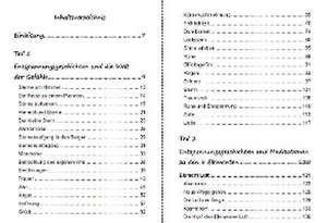 60 Entspannungsgeschichten in die Welt der Gefühle und zu den 6 Elementen de Petra Silberbauer