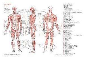 Gestalt und Anatomie de Manfred Zoller