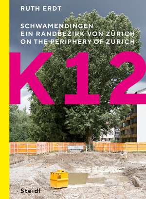 K12. Schwamendingen, ein Randbezirk von Zürich de Ruth Erdt