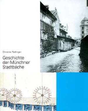 Geschichte der Münchner Stadtbäche de Christine Rädlinger