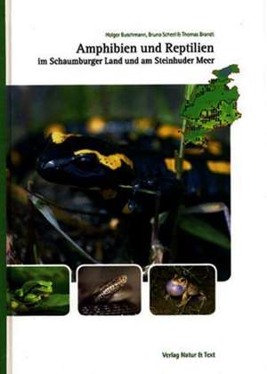 Amphibien und Reptilien im Schaumburger Land und am Steinhuder Meer de Holger Buschmann