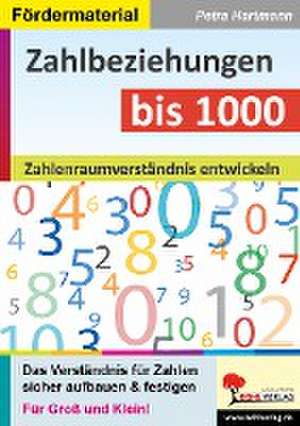 Zahlbeziehungen bis 1000 de Petra Hartmann