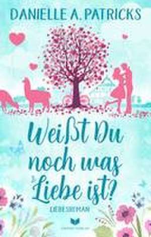 Weißt du noch was Liebe ist de Danielle A. Patricks