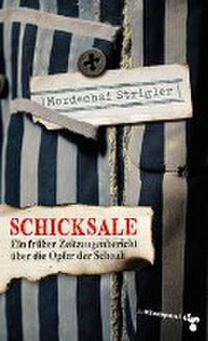 Schicksale de Strigler Mordechai