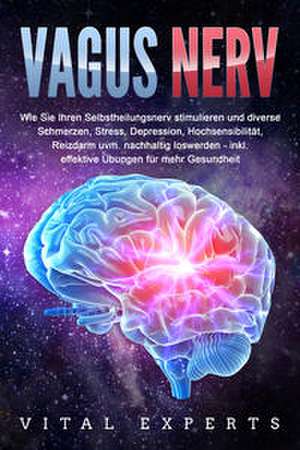 VAGUS NERV: Wie Sie Ihren Selbstheilungsnerv stimulieren und diverse Schmerzen, Stress, Depression, Hochsensibilität, Reizdarm uvm. nachhaltig loswerden - inkl. effektive Übungen für mehr Gesundheit de Vital Experts