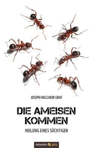 Die Ameisen Kommen: Buildings and Energy de Joseph Melchior Graf