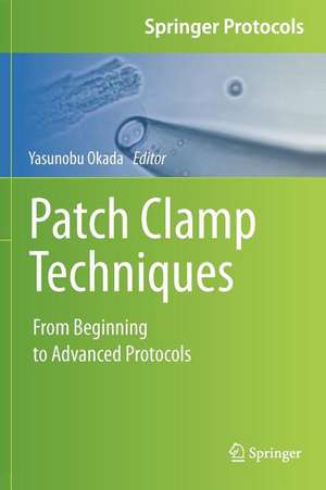 Patch Clamp Techniques: From Beginning to Advanced Protocols de Yasunobu Okada