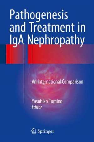 Pathogenesis and Treatment in IgA Nephropathy: An International Comparison de Yasuhiko Tomino