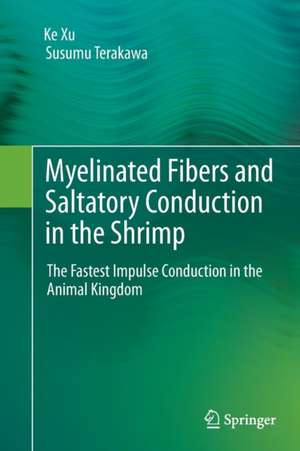 Myelinated Fibers and Saltatory Conduction in the Shrimp: The Fastest Impulse Conduction in the Animal Kingdom de Ke Xu