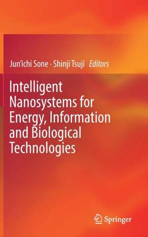 Intelligent Nanosystems for Energy, Information and Biological Technologies de Jun’ichi Sone