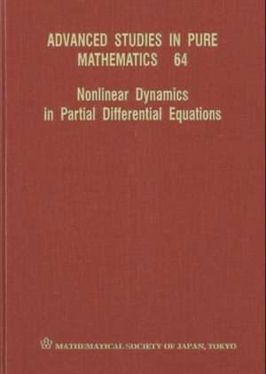 Nonlinear Dynamics in Partial Differential Equations