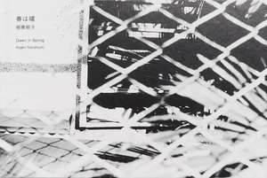 Dawn in Spring de Asako Narahashi