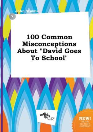 100 Common Misconceptions about David Goes to School de John Stubbs