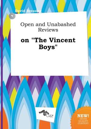 Open and Unabashed Reviews on the Vincent Boys de David Bressing