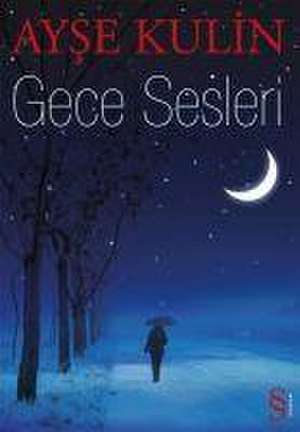 Gece Sesleri de Ayse Kulin