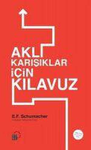 Akli Karisiklar Icin Kilavuz de Ernst Friedrich Schumacher