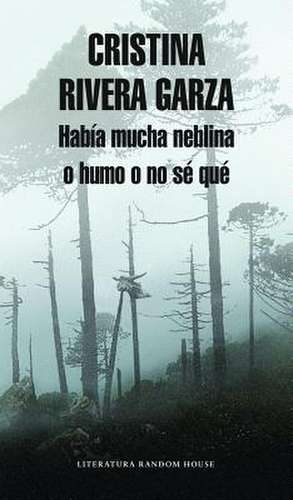 Habia Mucha Neblina O Humo O No Se Que Caminar Con Juan Rulfo de Cristina Rivera Garza