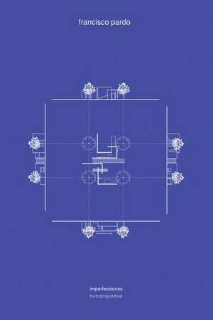 Francisco Pardo: Imperfections de Luca Molinari