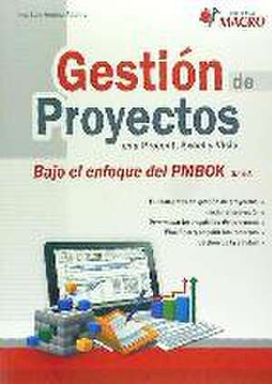 Gestión de Proyectos con Project, Excel y Visio 5 Edicion