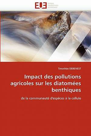 Impact Des Pollutions Agricoles Sur Les Diatomees Benthiques: Uma Analise Semiotica E Seu Legado Na Cultura Do Videoclipe. de Timothée DEBENEST