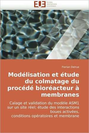 Modelisation Et Etude Du Colmatage Du Procede Bioreacteur a Membranes de Florian Delrue