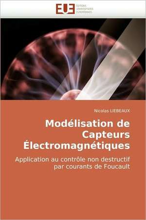 Modélisation de Capteurs Électromagnétiques de Nicolas LIEBEAUX