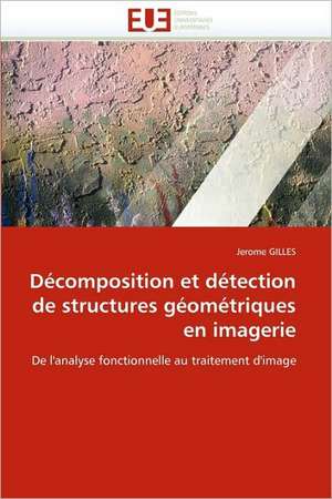 Decomposition Et Detection de Structures Geometriques En Imagerie: Bases Neurales de Jerome Gilles