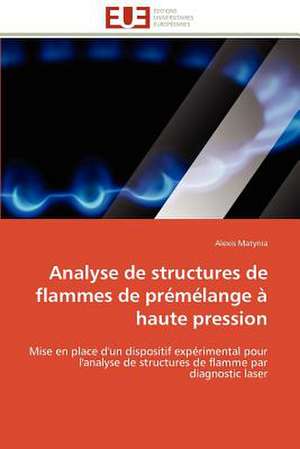 Analyse de Structures de Flammes de Premelange a Haute Pression