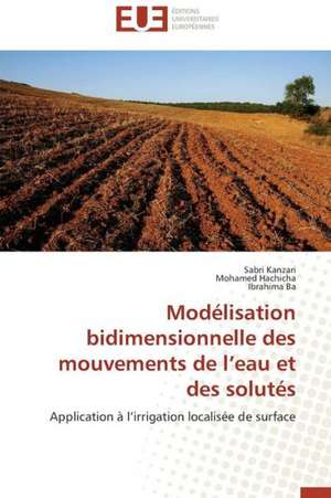 Modelisation Bidimensionnelle Des Mouvements de L'Eau Et Des Solutes: Une Incitation Au Risque? de Sabri Kanzari