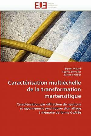 Caractérisation multiéchelle de la transformation martensitique de Benoît Malard