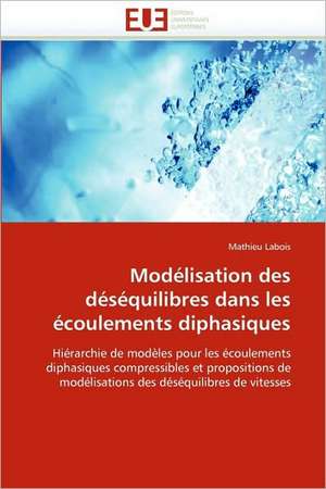 Modelisation Des Desequilibres Dans Les Ecoulements Diphasiques: Quand Les Difficultes Deviennent Opportunites de Mathieu Labois