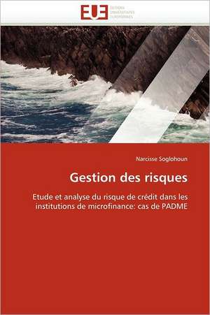 Gestion des risques de Narcisse Soglohoun