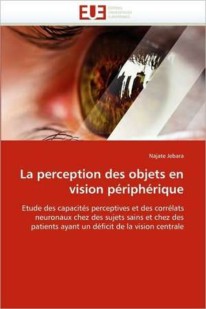 La perception des objets en vision périphérique de Najate Jebara