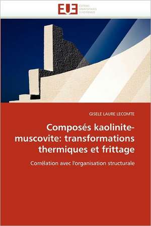 Composes Kaolinite-Muscovite: Transformations Thermiques Et Frittage de GISELE LAURE LECOMTE