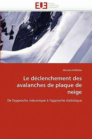 Le Declenchement Des Avalanches de Plaque de Neige: Etude Asymptotique Et Simulation de Jérome Faillettaz